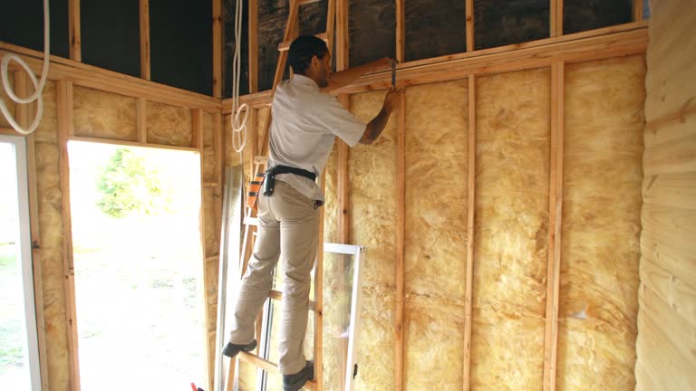 Best Spray Foam Insulation  in Quanah, TX