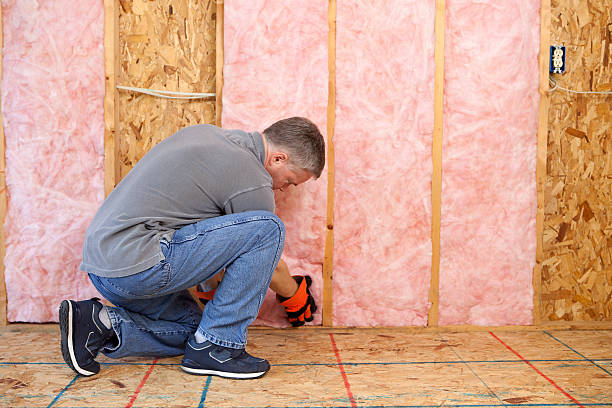 Best Blown-In Insulation  in Quanah, TX