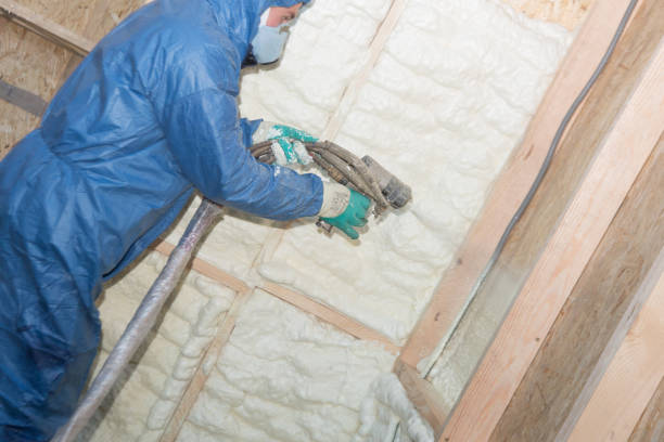 Best Attic Insulation Installation  in Quanah, TX